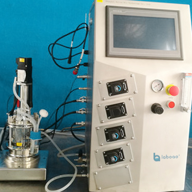 0.5l Mechanically Stirred Micro Bioreactor